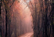 湘超联赛上演视觉与激情盛(shèng)宴，体彩主题Tifo点亮球迷嘉年(nián)华