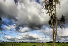 慕尼黑有意重返欧冠决赛舞台：安(ān)联球(qiú)场的(de)申办背后是怎样的(de)故事？