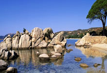 欧冠-吉拉西双响福伊特(tè)紅(hóng)牌 多(duō)特(tè)4-0比利(lì)亚雷亚尔