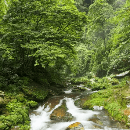 太(tài)极音乐大合集，送给练太(tài)极的你！（附下载链接）