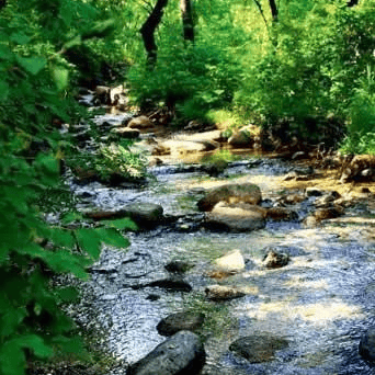 太(tài)极音乐大合集，送给练太(tài)极的你！（附下载链接）