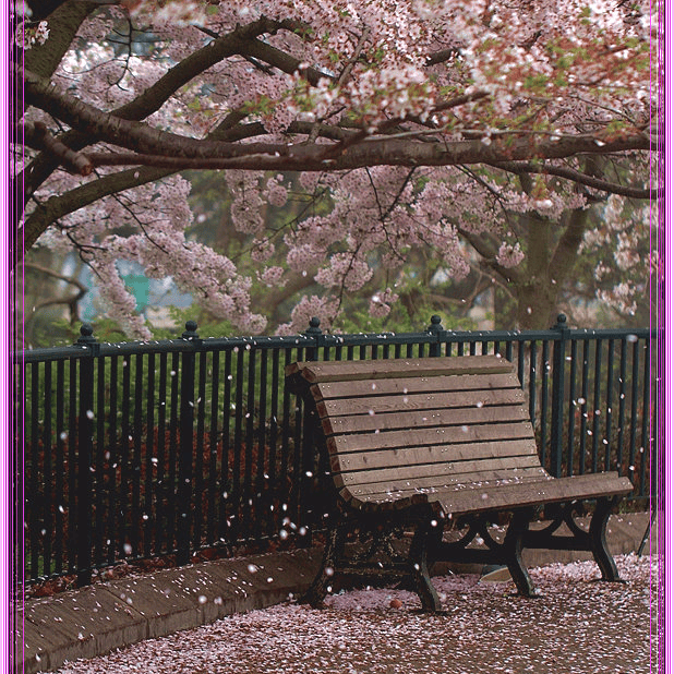 太(tài)极音乐大合集，送给练太(tài)极的你！（附下载链接）