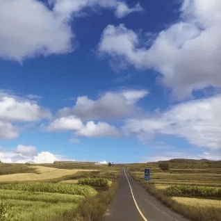 太(tài)极音乐大合集，送给练太(tài)极的你！（附下载链接）