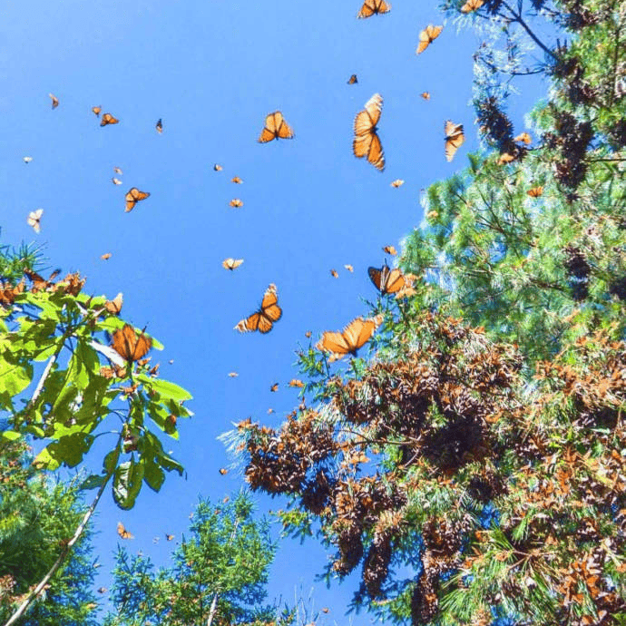 太(tài)极音乐大合集，送给练太(tài)极的你！（附下载链接）