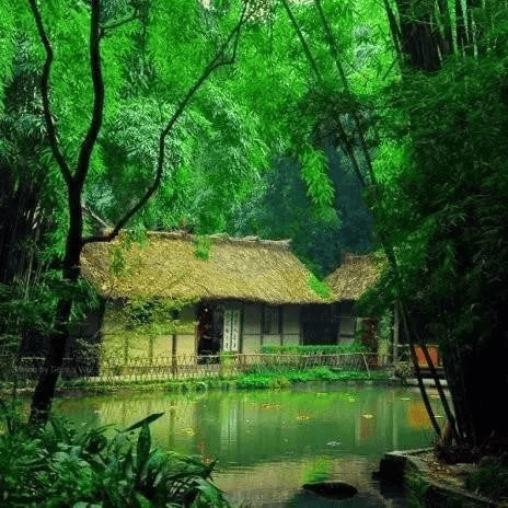 太(tài)极音乐大合集，送给练太(tài)极的你！（附下载链接）