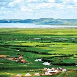 太(tài)极音乐大合集，送给练太(tài)极的你！（附下载链接）