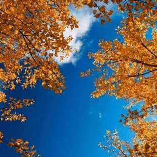 太(tài)极音乐大合集，送给练太(tài)极的你！（附下载链接）