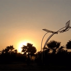 太(tài)极音乐大合集，送给练太(tài)极的你！（附下载链接）