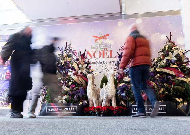 多伦多举办城市(shì)花艺展